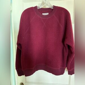 Everlane nwt nubby textured (think teddy/sherpa) sweatshirt size XL